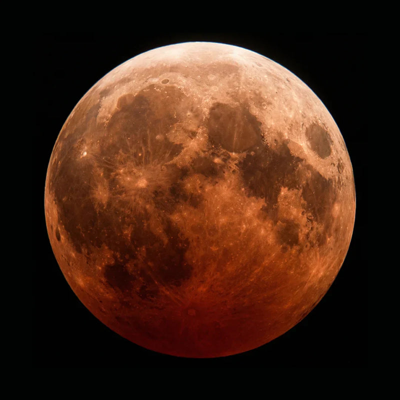 Beschleunigung der Menstruation: Was wirklich hilft und was ein Mythos ist