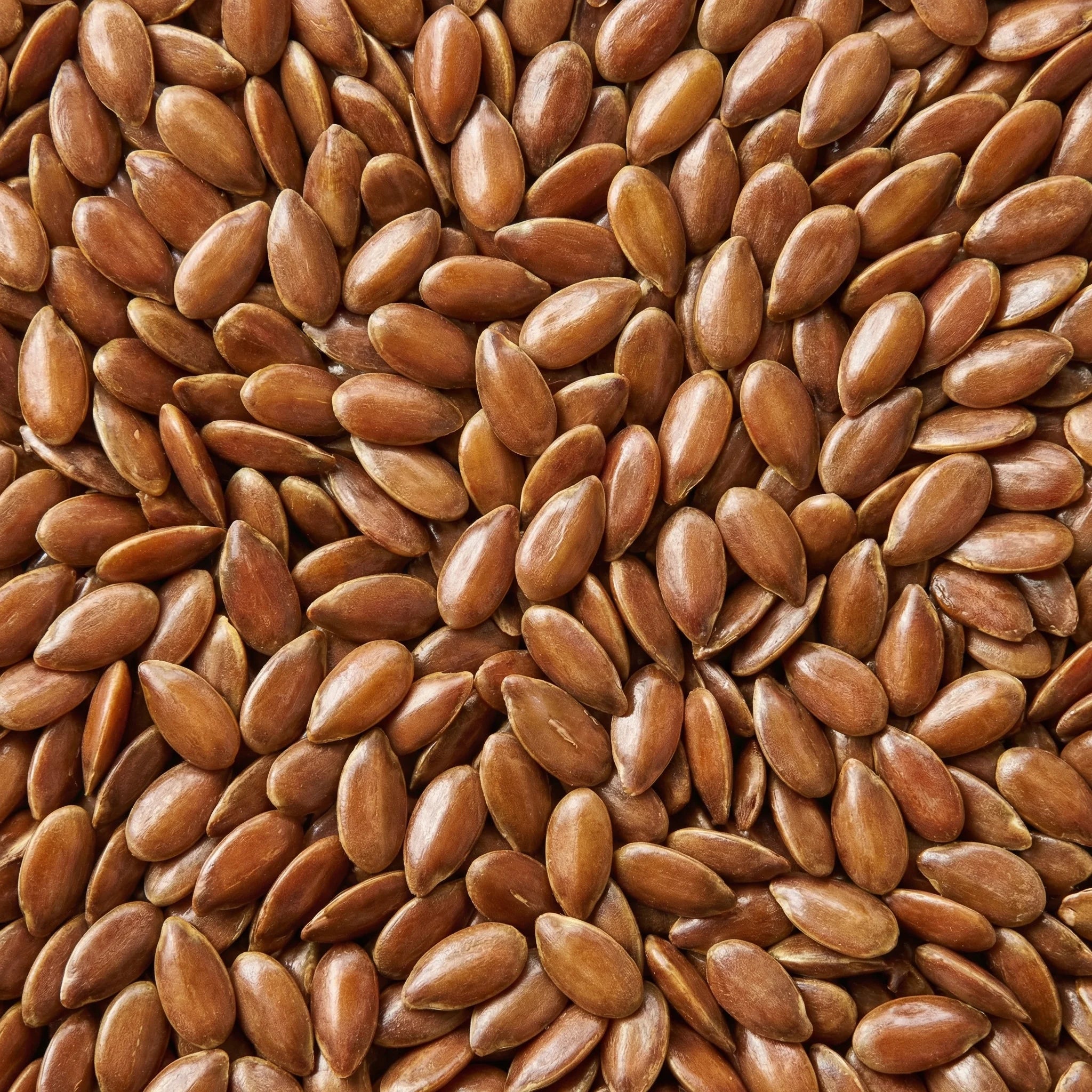 Seed cycling: wat is het en werkt het voor je cyclus?